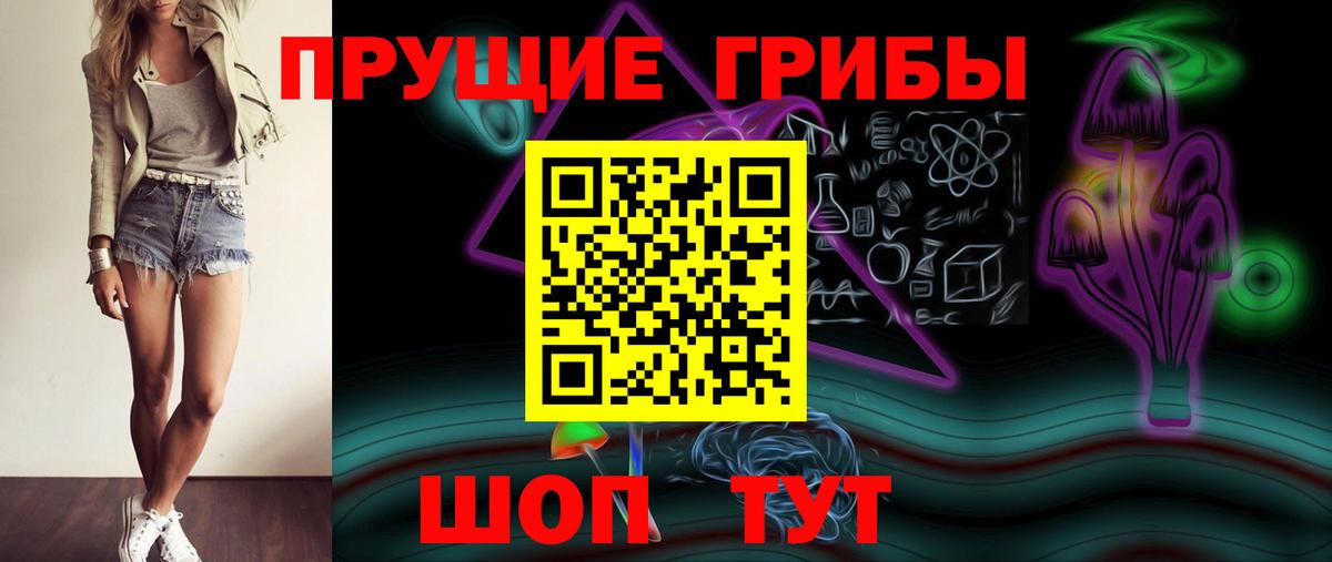 Псилоцибиновые грибы мицелий Хасавюрт