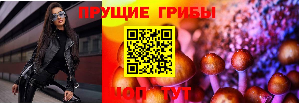 наркота  Вход с VPN  Хасавюрт  Псилоцибиновые грибы Psilocybine cubensis 
